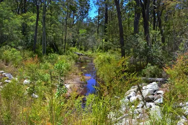 Main view of Homely land listing, Lot 81 Whipbird Drive, Ashby Heights NSW 2463