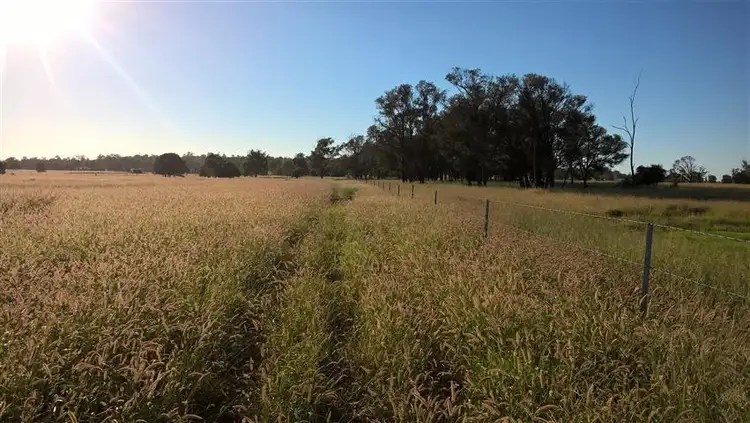 Sixth view of Homely rural property listing, 1013 Bundalba Road, Goovigen QLD 4702