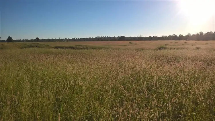 Fifth view of Homely rural property listing, 1013 Bundalba Road, Goovigen QLD 4702