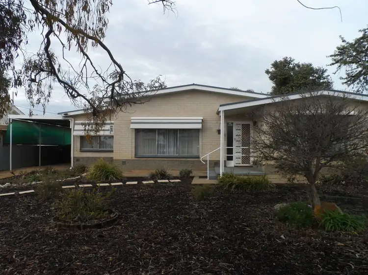 Second view of Homely house listing, 21 Hayward Terrace, Loxton SA 5333