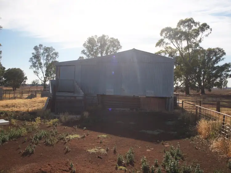 Third view of Homely rural property listing, - Pinehurst, West Wyalong NSW 2671