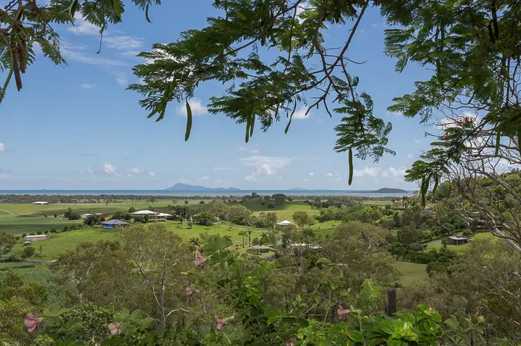Main view of Homely house listing, 211 Barrow Hill Road, Habana QLD 4740