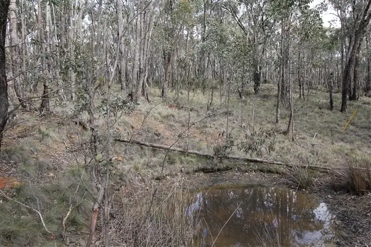 Sixth view of Homely land listing, Lot 6 Haigh Lane, Snake Valley VIC 3351