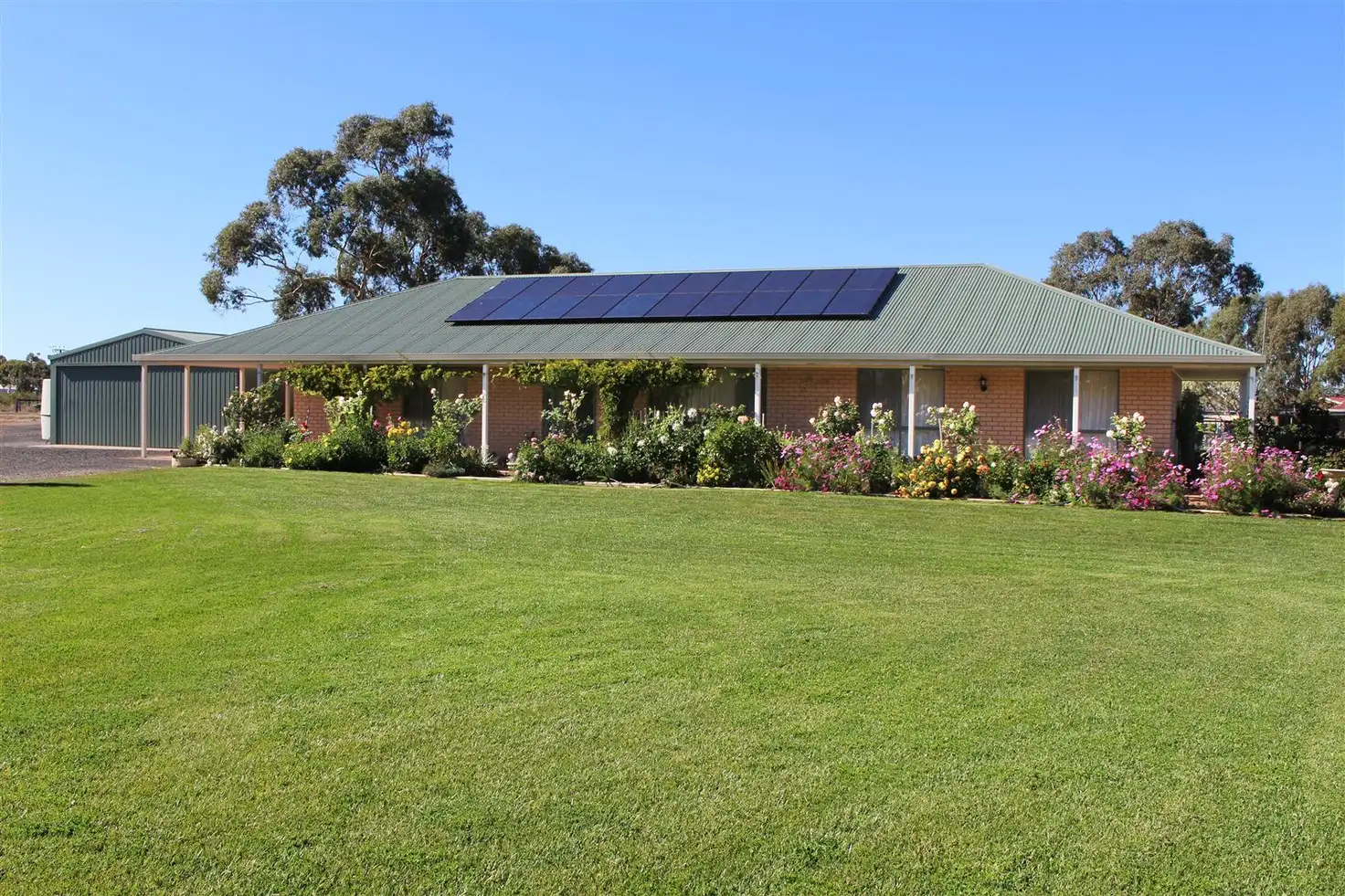 Main view of Homely house listing, 293 Naracoorte Road, Bordertown SA 5268