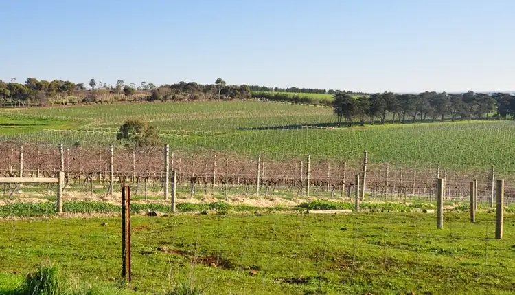 Fifth view of Homely rural property listing, 53 Madden Road, Bannockburn VIC 3331