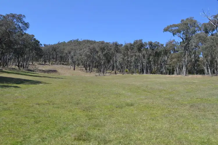 Sixth view of Homely rural property listing, 169 Porphery Hill Track, Benambra VIC 3900