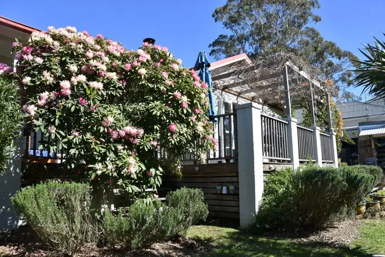 Fifth view of Homely house listing, 19 CHAPEL LANE, Jamberoo NSW 2533