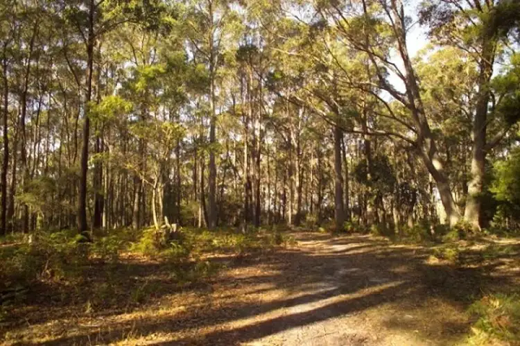 Fifth view of Homely land listing, 36 Allegra Drive Cuprona Road, Heybridge TAS 7316