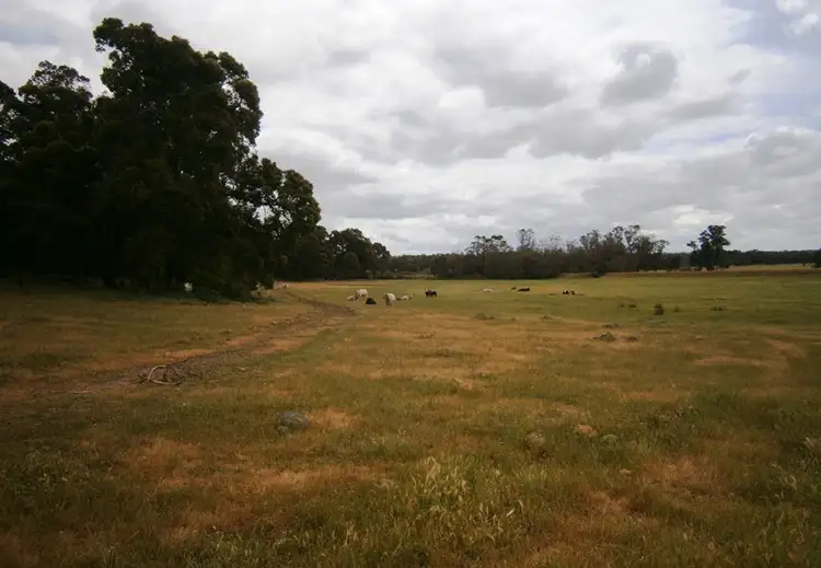 Fifth view of Homely rural property listing, Lots Coalfields Highway, Muja WA 6225