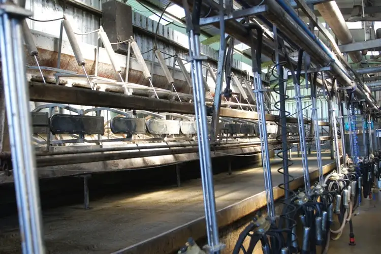 Sixth view of Homely rural property listing, 5583 Princes Highway, Boorcan VIC 3265