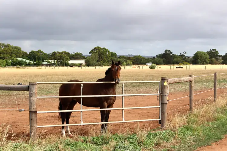 Main view of Homely rural property listing, A10 Lines Road, Strathalbyn SA 5255