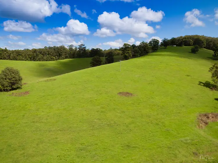 Second view of Homely rural property listing, 16135 Pacific Highway, Taree NSW 2430