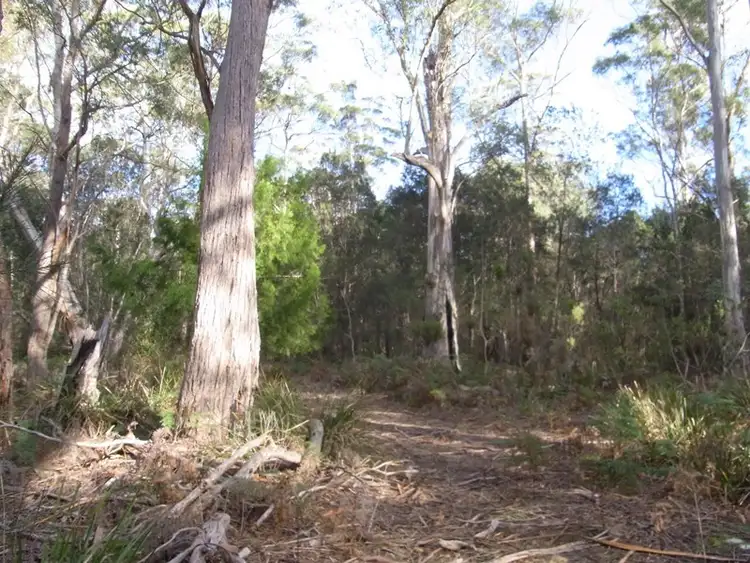 Sixth view of Homely rural property listing, Lot 1 Tasman Hwy, Bicheno TAS 7215