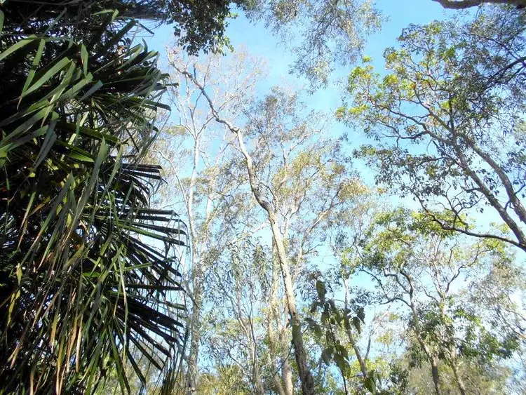 Fourth view of Homely land listing, L305 Masthead Drive, Agnes Water QLD 4677