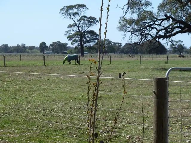 Third view of Homely rural property listing, 171 Mitchell Rd, Echuca VIC 3564