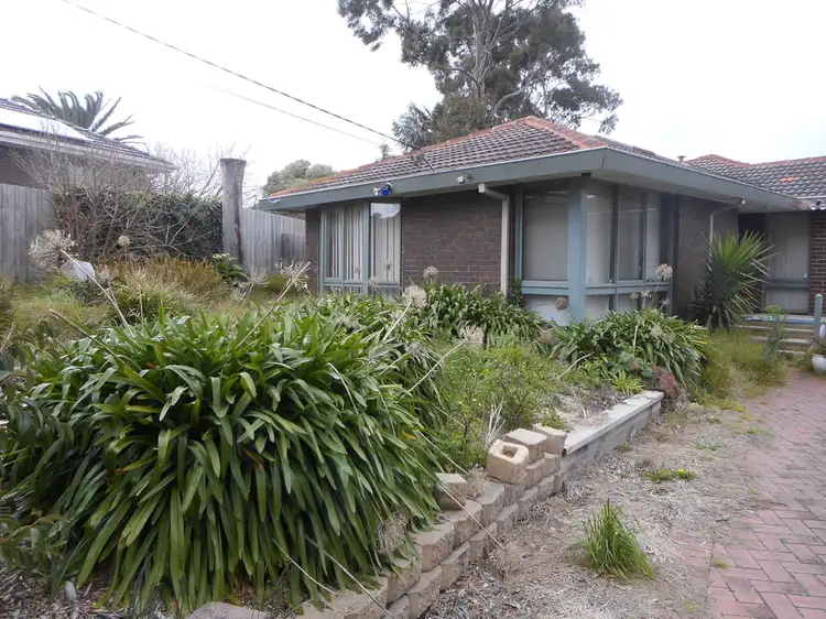 Main view of Homely house listing, 7 Catherine Court, Langwarrin VIC 3910