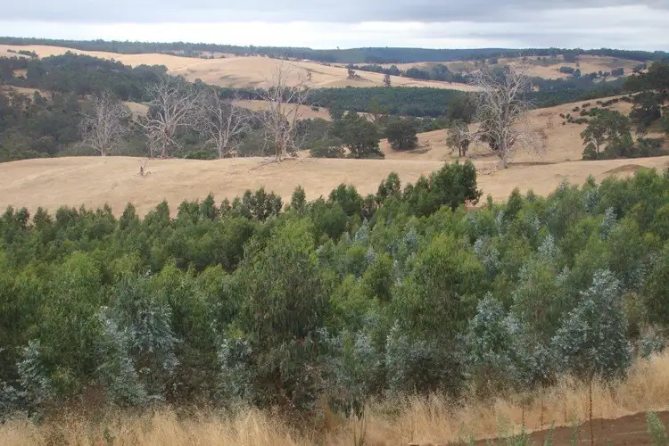 Sixth view of Homely land listing, 2 Quagamirup Rd, Bridgetown WA 6255