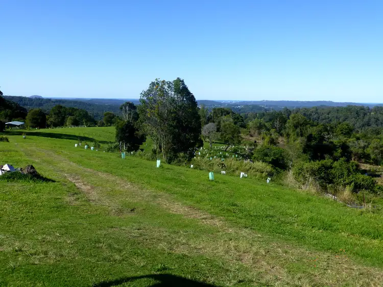Main view of Homely rural property listing, 867 Hunchy Road, Hunchy QLD 4555