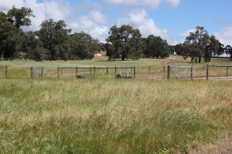Fifth view of Homely house listing, 300 Hill Road, Bakers Hill WA 6562