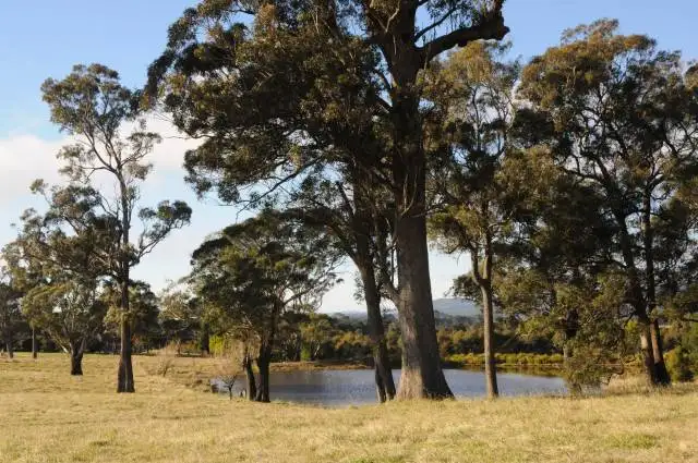 Third view of Homely rural property listing, 79 Spring Hill Road, Mittagong NSW 2575