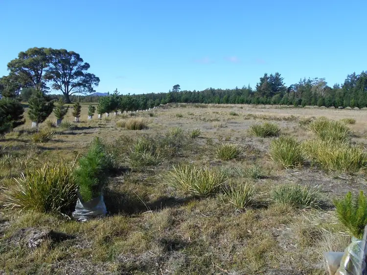 Third view of Homely land listing, Lot 4 3386 Nugent Road, Buckland TAS 7190