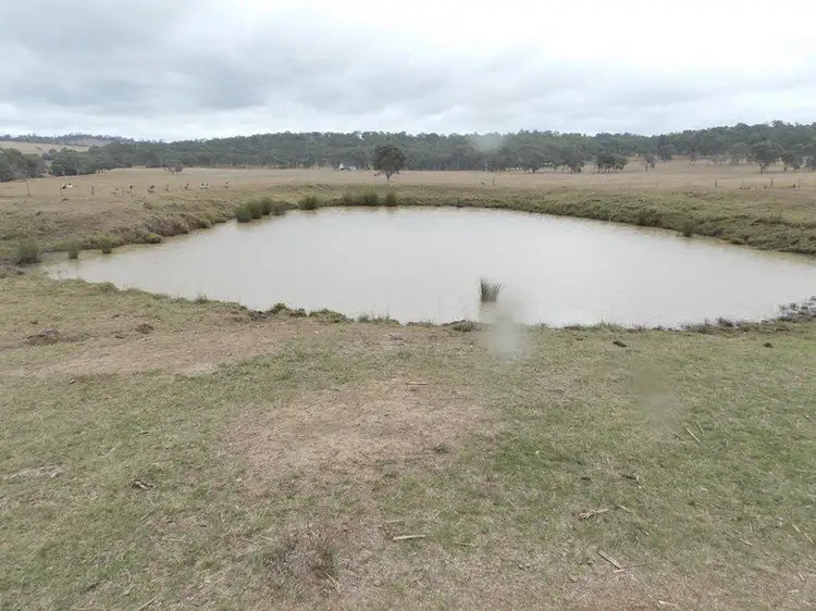 Fifth view of Homely rural property listing, 125 Runnymede Estate Road, Runnymede QLD 4615