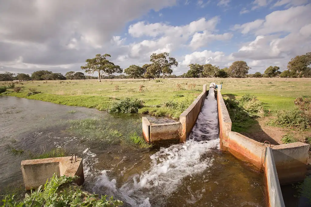 Main view of Homely rural property listing, 24244 Princes Highway, Lucindale SA 5272