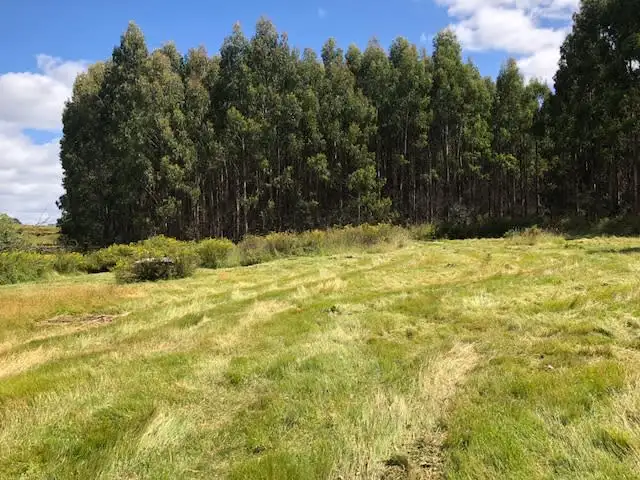 Seventh view of Homely land listing, 2022 Nugent Road, Nugent TAS 7172