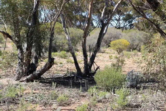 Second view of Homely land listing, Lot 10 Winter Road, Bower SA 5374