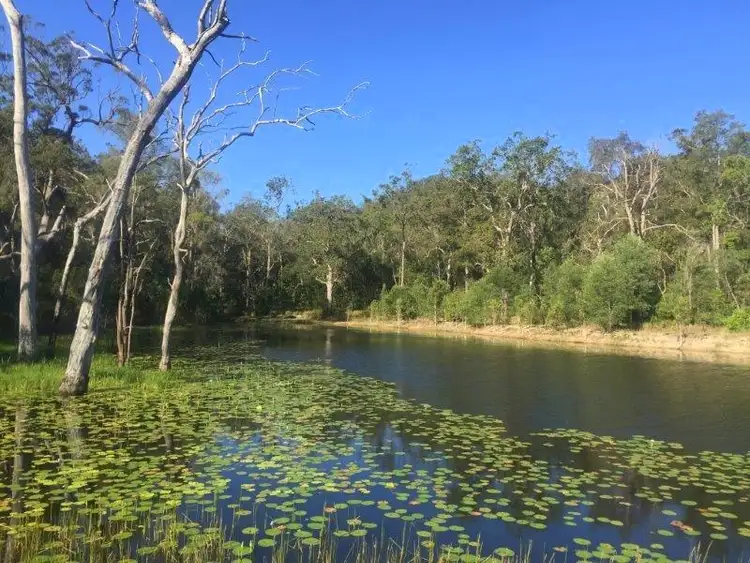 Fifth view of Homely house listing, 722 Creevey Drive, Captain Creek QLD 4677