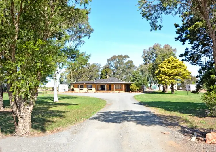 286 Hamilton Road, Bilbul NSW 2680