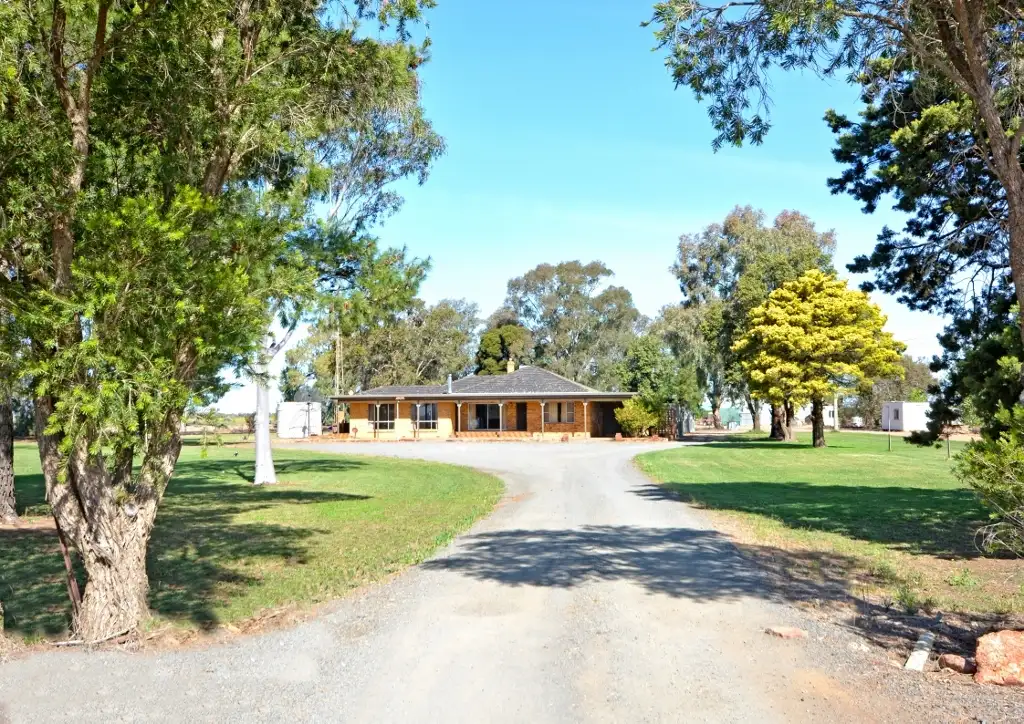 Main view of Homely house listing, 286 Hamilton Road, Bilbul NSW 2680