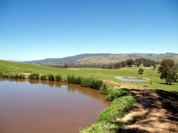 Seventh view of Homely rural property listing, 106 Pig & Whistle Lane, Molesworth VIC 3718