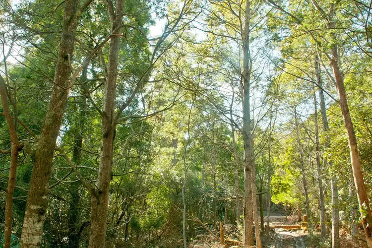 Second view of Homely rural property listing, 0 Crowdens Road, Western Creek TAS 7304