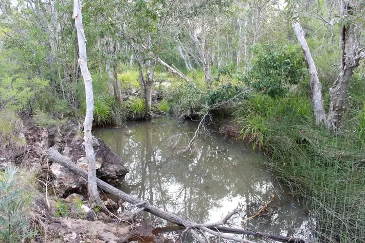 Fourth view of Homely land listing, Lot 140 Murphy Road, Captain Creek QLD 4677