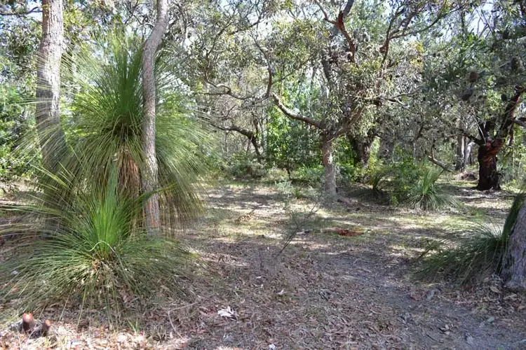 8 Cockbourne Place, Vincentia NSW 2540