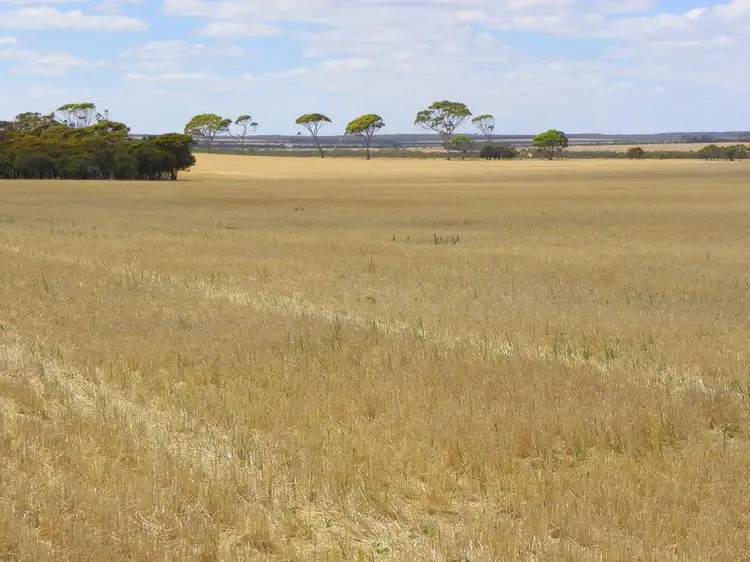 Fifth view of Homely rural property listing, Lot 1761 Needilup Road, Pingrup WA 6343
