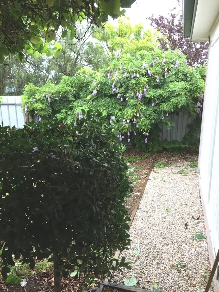 Third view of Homely house listing, 14 Cooyal Street, Gulgong NSW 2852
