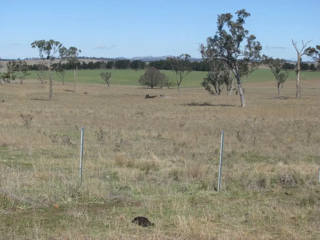 Main view of Homely rural property listing, 380 Elliots road, Armidale NSW 2350