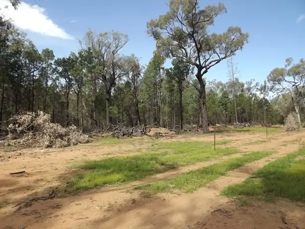 Second view of Homely rural property listing, Lot Kurrajong Rd, Coonabarabran NSW 2357