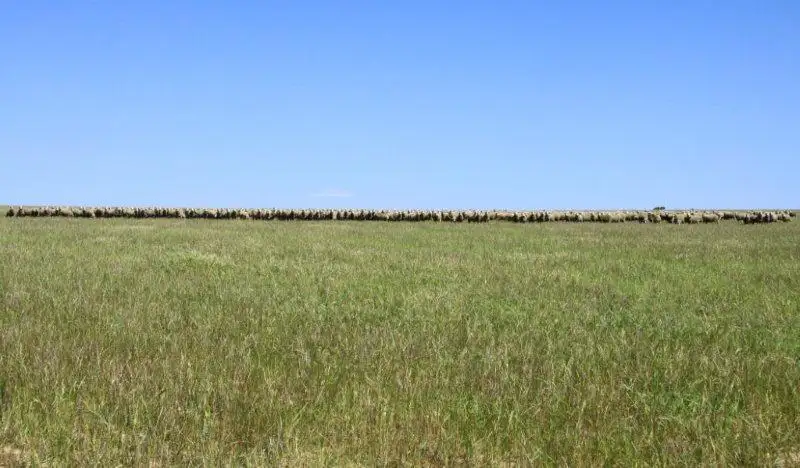 Main view of Homely rural property listing, 1488 Mt Vernon Road, Newdegate WA 6355