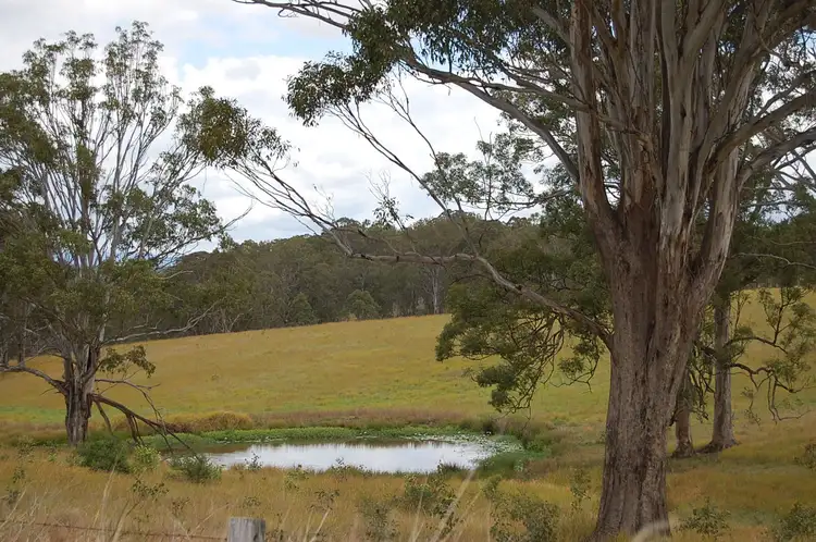 Third view of Homely rural property listing, Lot 4 Clarence Way, SANDILANDS via, Mallanganee NSW 2469
