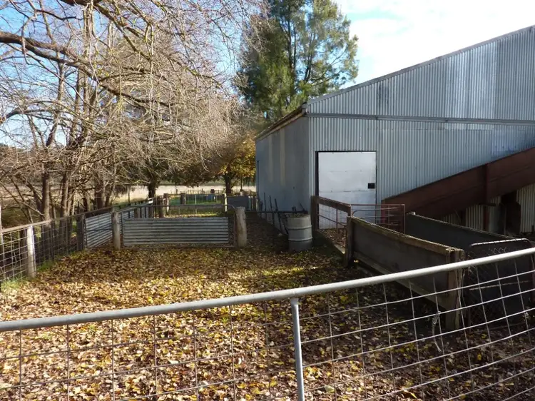 Fifth view of Homely rural property listing, 589 Humula Road VIia Tarcutta, Wagga Wagga NSW 2650
