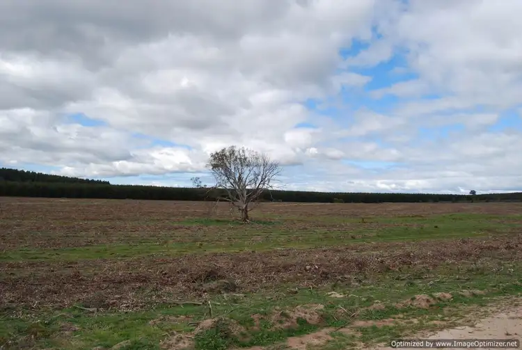 Third view of Homely rural property listing, 0 Stockdale - Fernbank Road, Stockdale VIC 3862