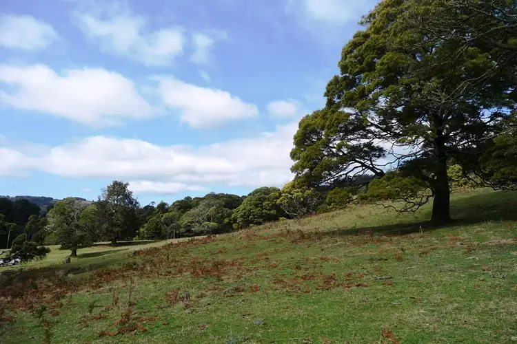 Seventh view of Homely rural property listing, 29371 Tasman Highway, Weldborough TAS 7264