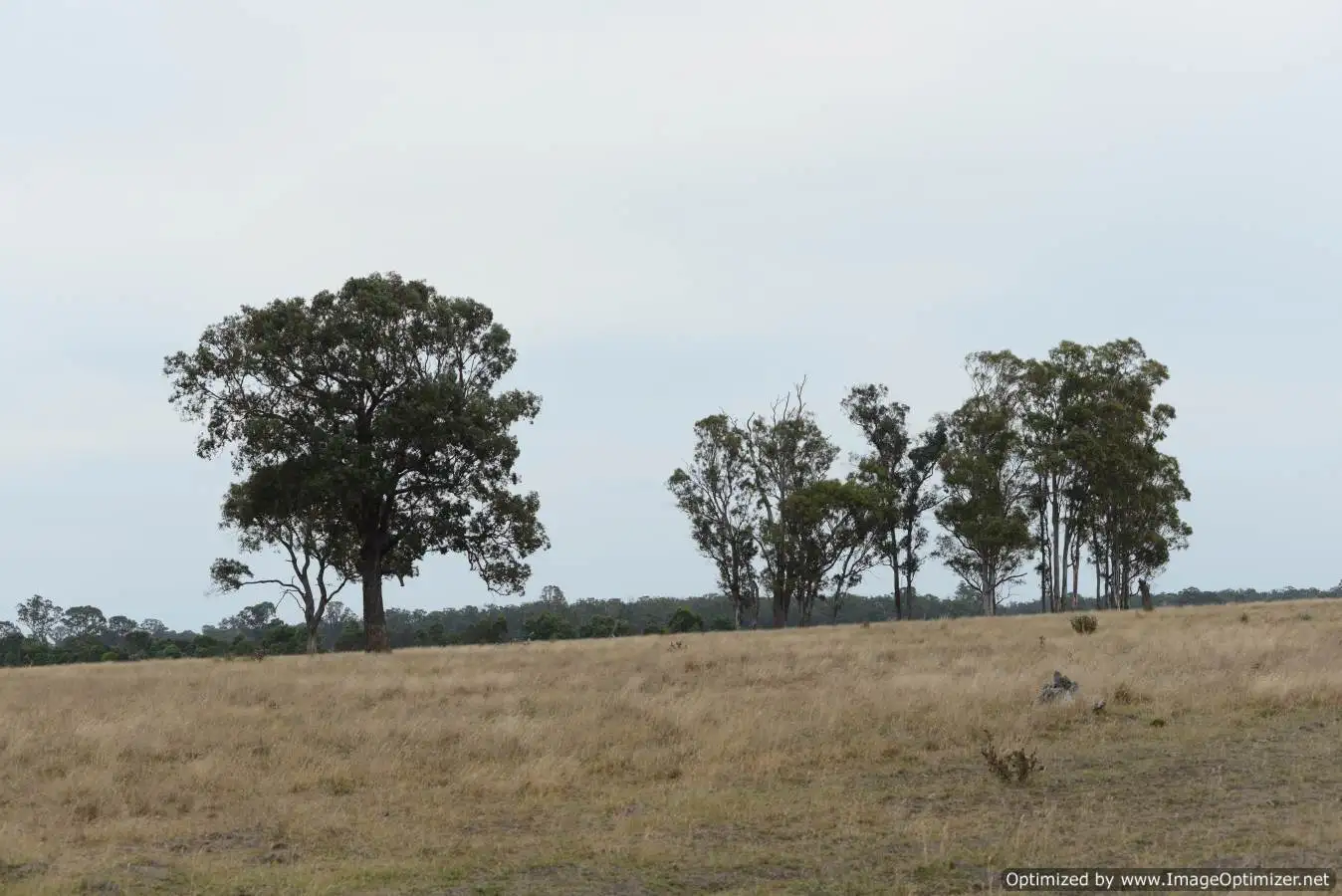 Main view of Homely rural property listing, 690 Andersons Lane, Hillside VIC 3875