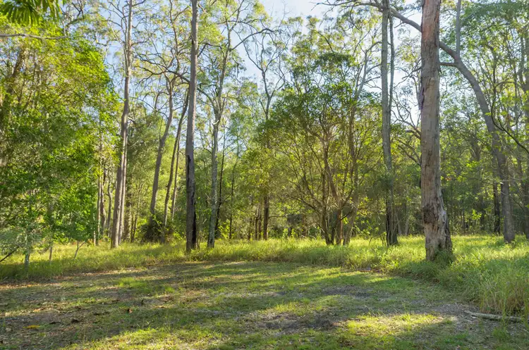 Fifth view of Homely rural property listing, 300 Murrayville Road, Ashby NSW 2463