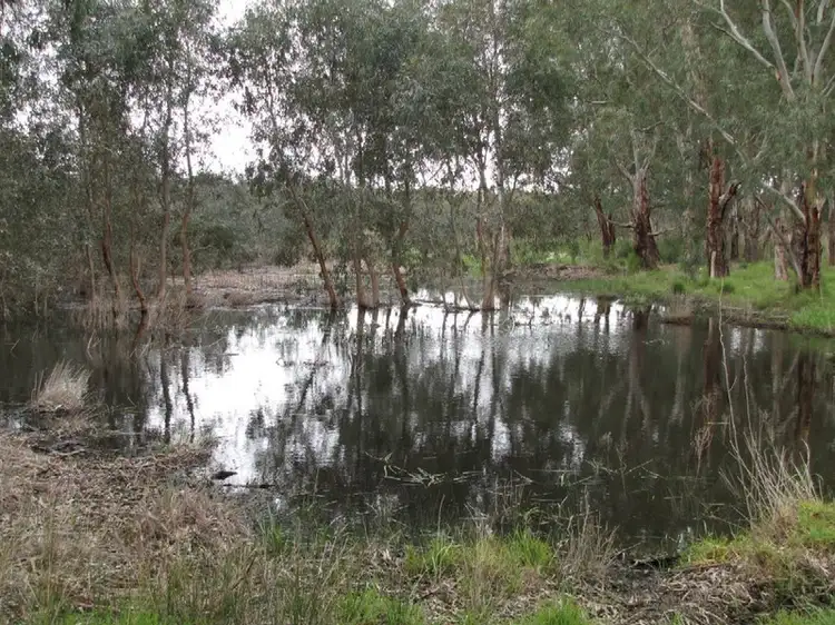 Lot 62 Walding Rd, Mannum SA 5238
