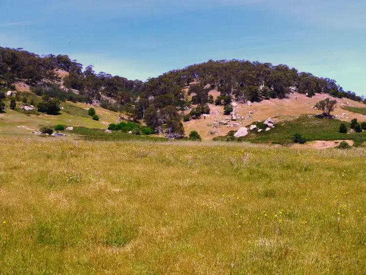 Second view of Homely rural property listing, 1637 Dropmore Road, Dropmore VIC 3660