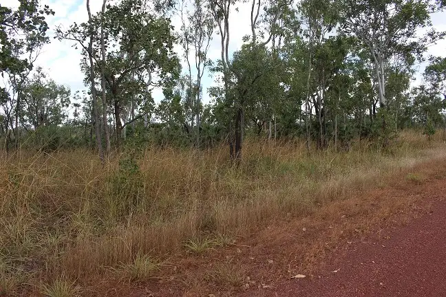 Sixth view of Homely rural property listing, 420 Heathers Lagoon Road, Lake Bennett NT 822